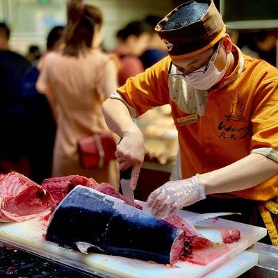 胶片模特