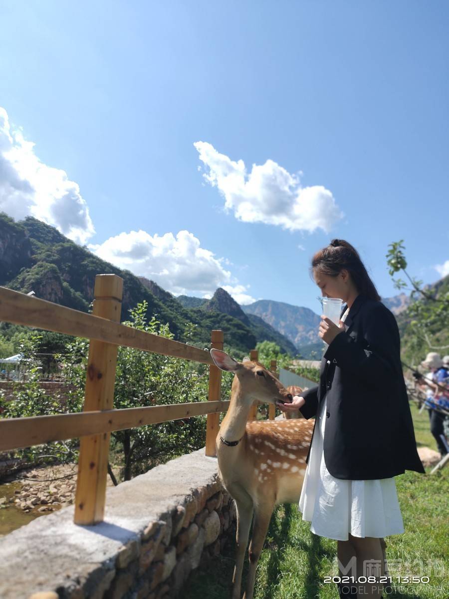 妆容模特
