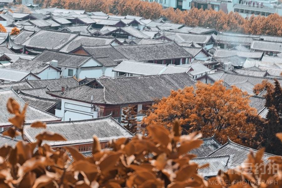 情侣模特