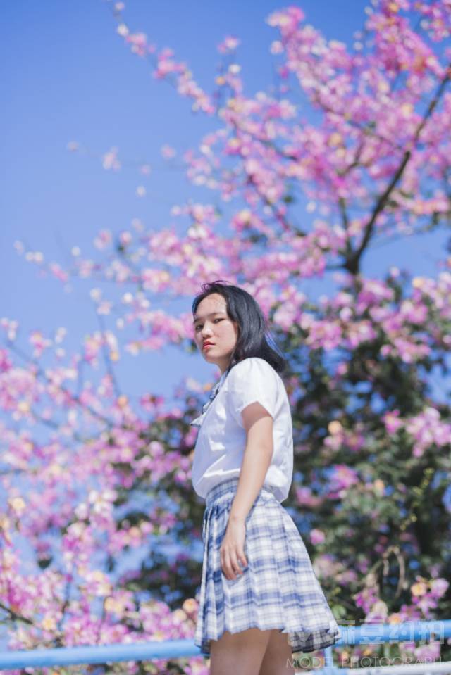校园模特