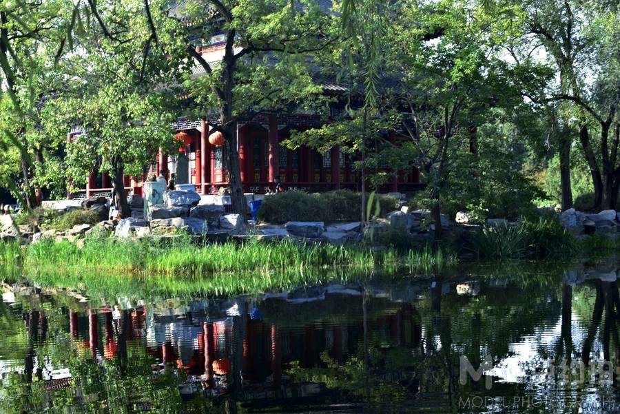 清新模特