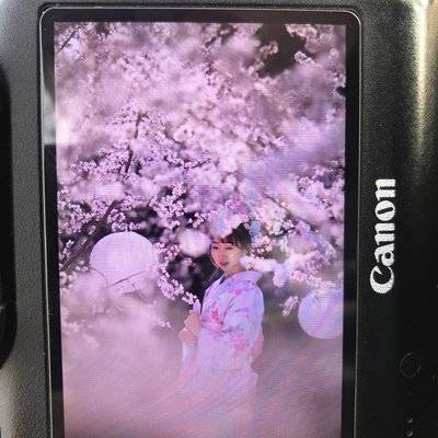 和服模特
