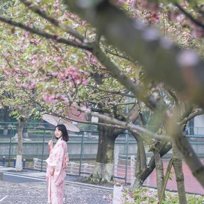 和服模特