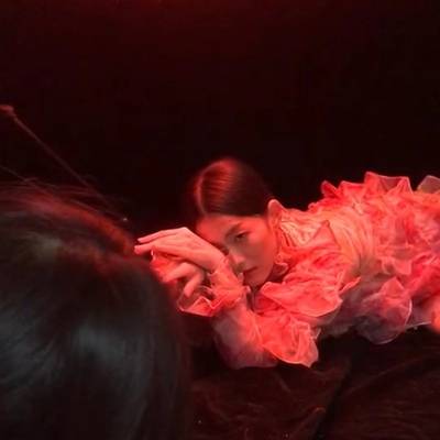 胶片模特
