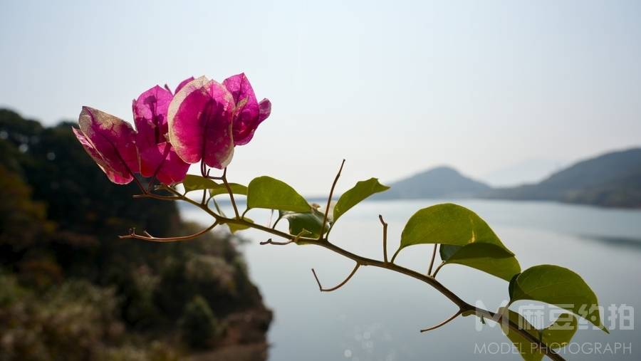 纪实模特
