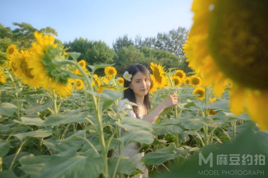 少女模特