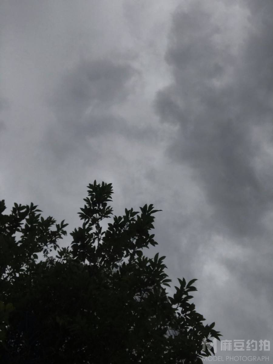 黑白模特