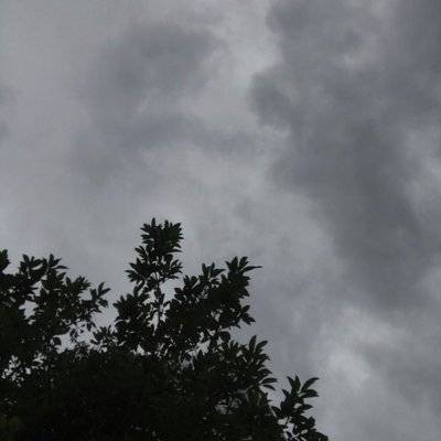黑白模特