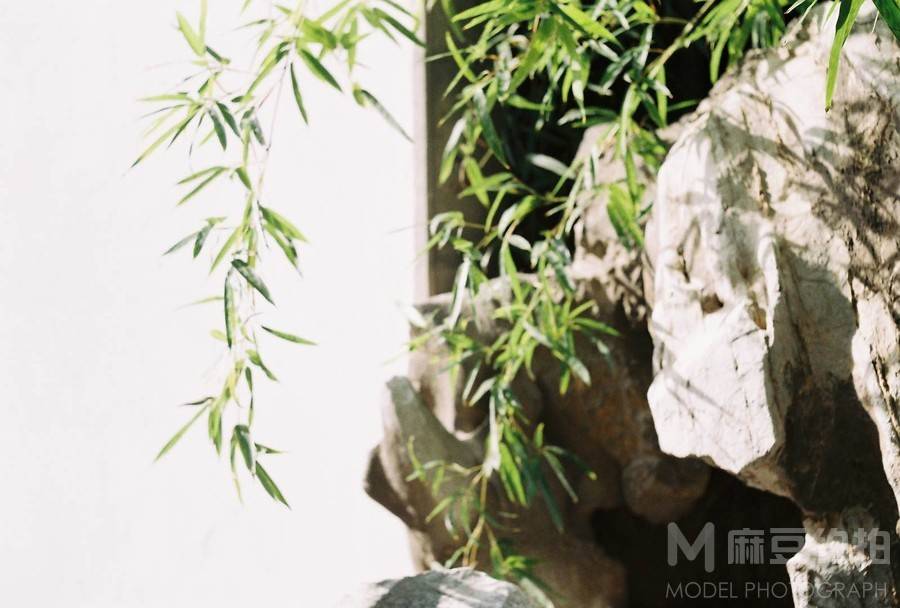 胶片模特