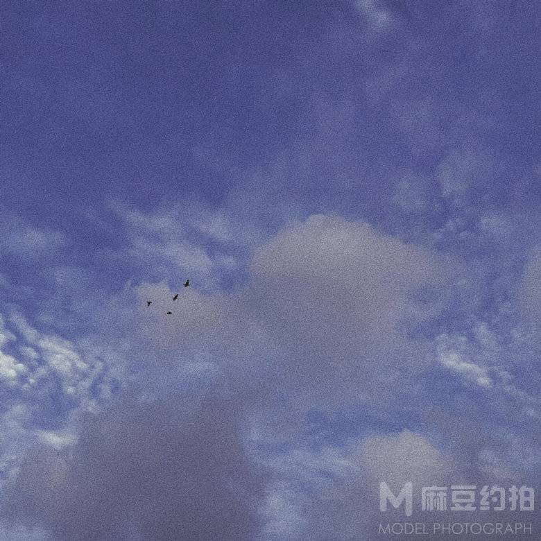 纪实模特