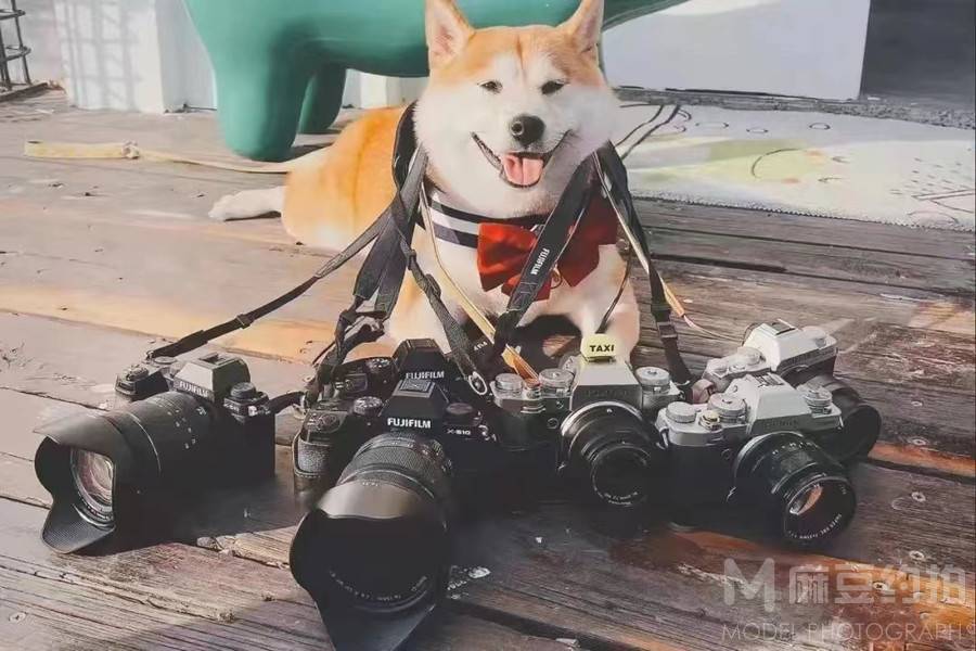 纪实模特