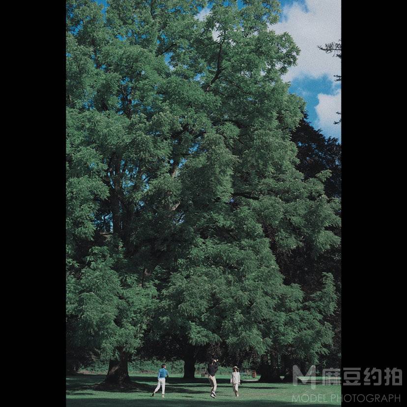胶片模特