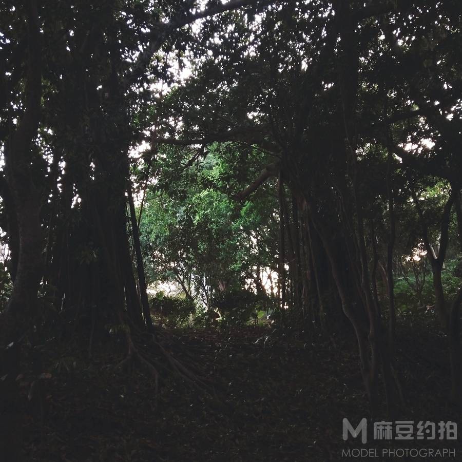 暗黑模特