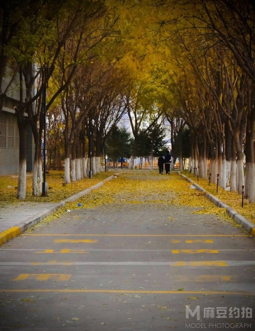 校园模特