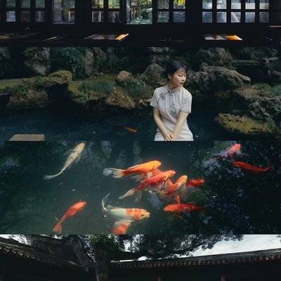 校园模特