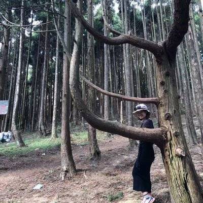 森系模特