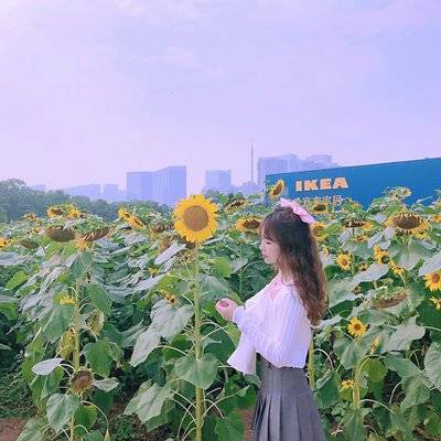 清新模特