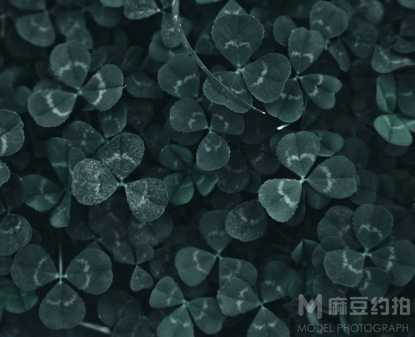复古模特
