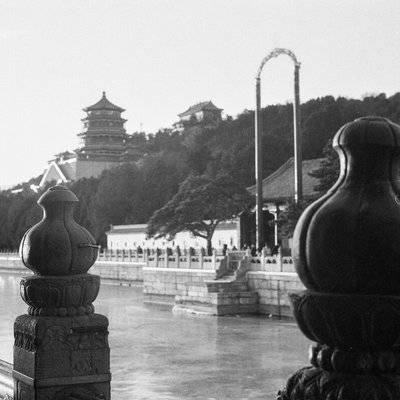 胶片模特
