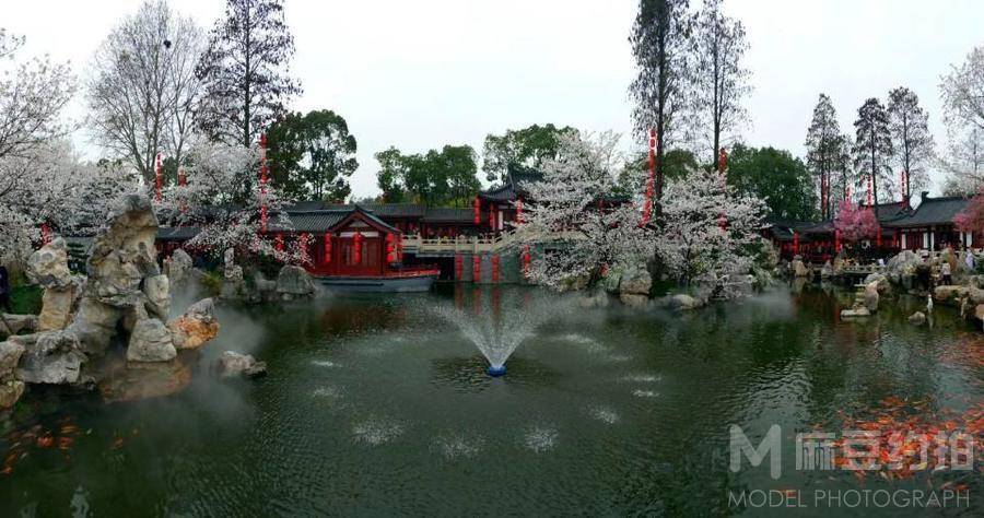 纪实模特