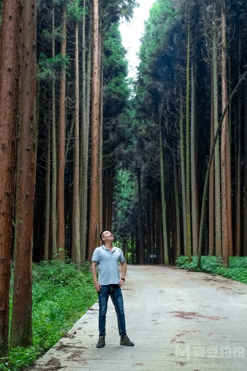 清新模特