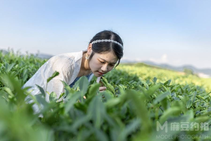 孕照模特