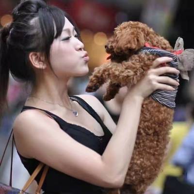 清新模特