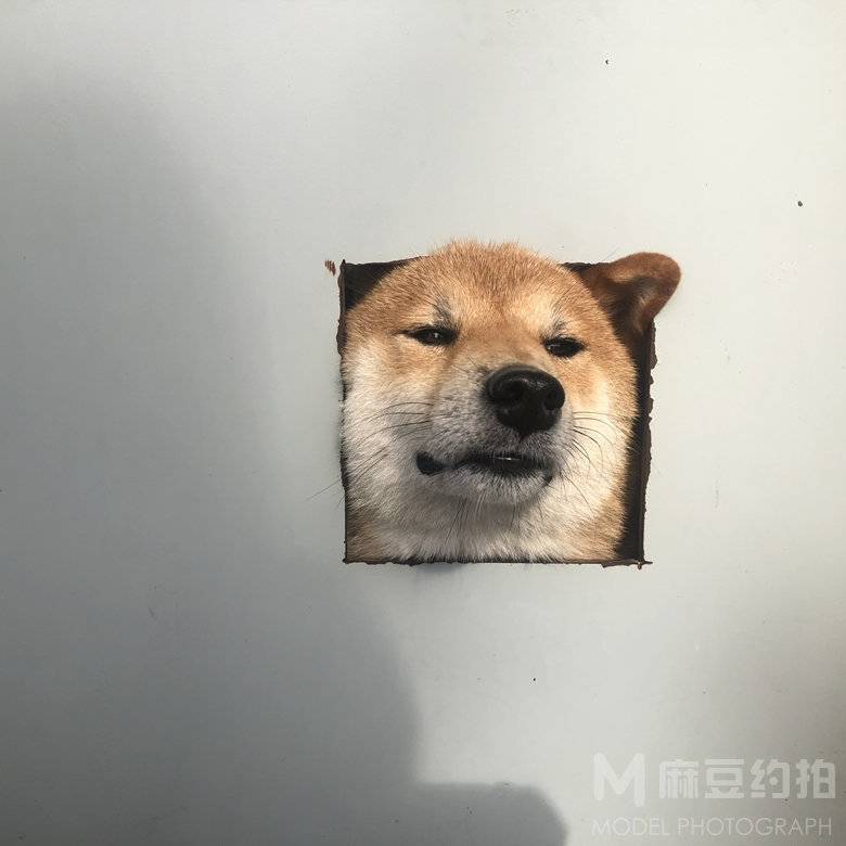 纪实模特