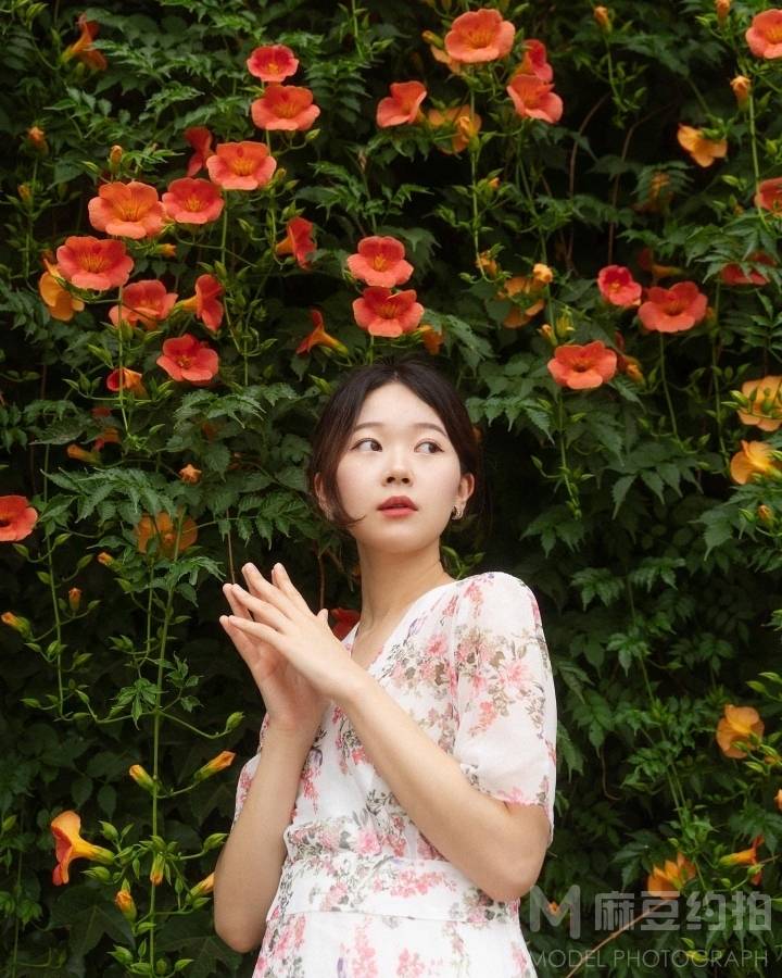 清新模特
