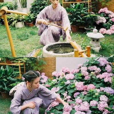 胶片模特