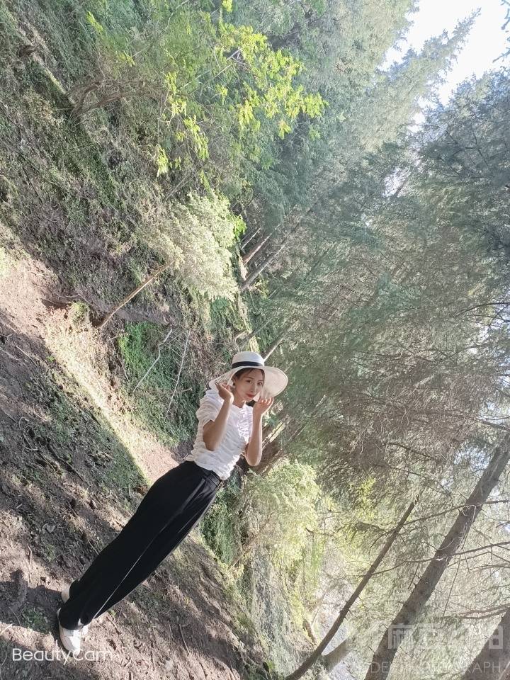 胶片模特