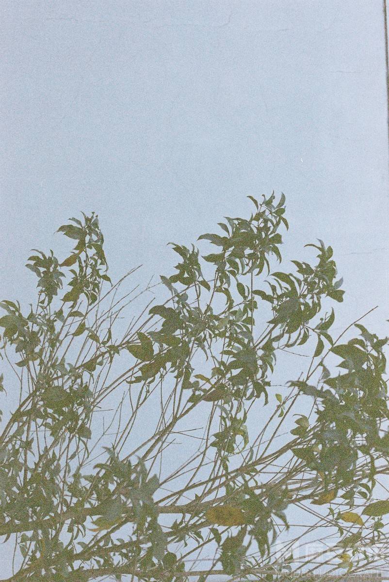 胶片模特