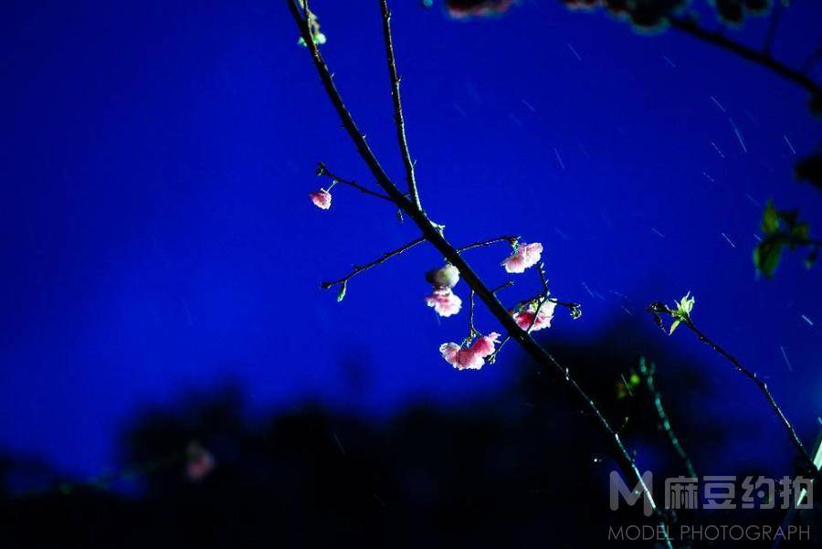 夜景模特