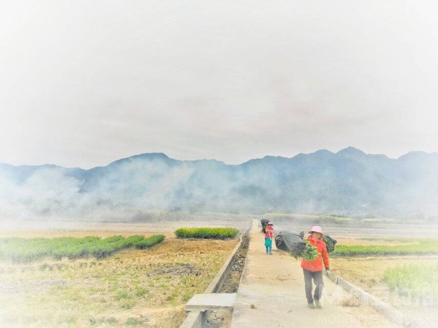 纪实模特