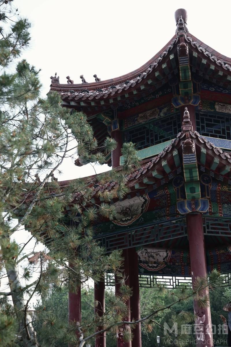 复古模特