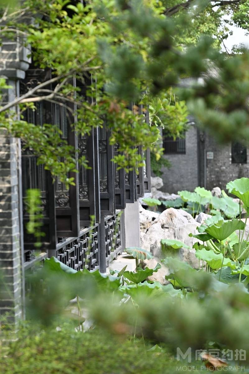 纪实模特
