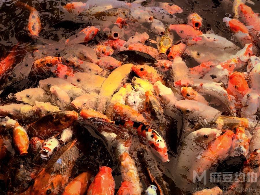 纪实模特
