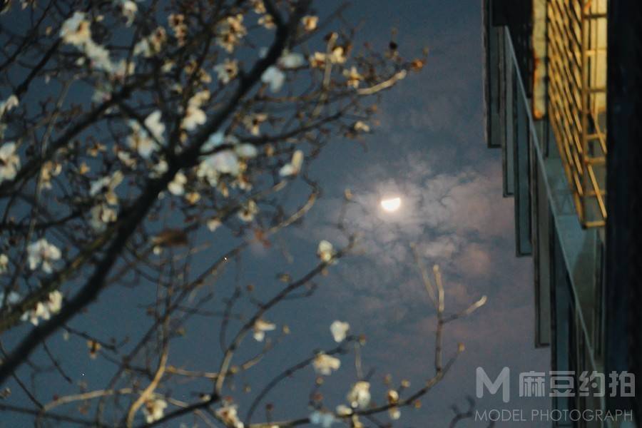夜景模特