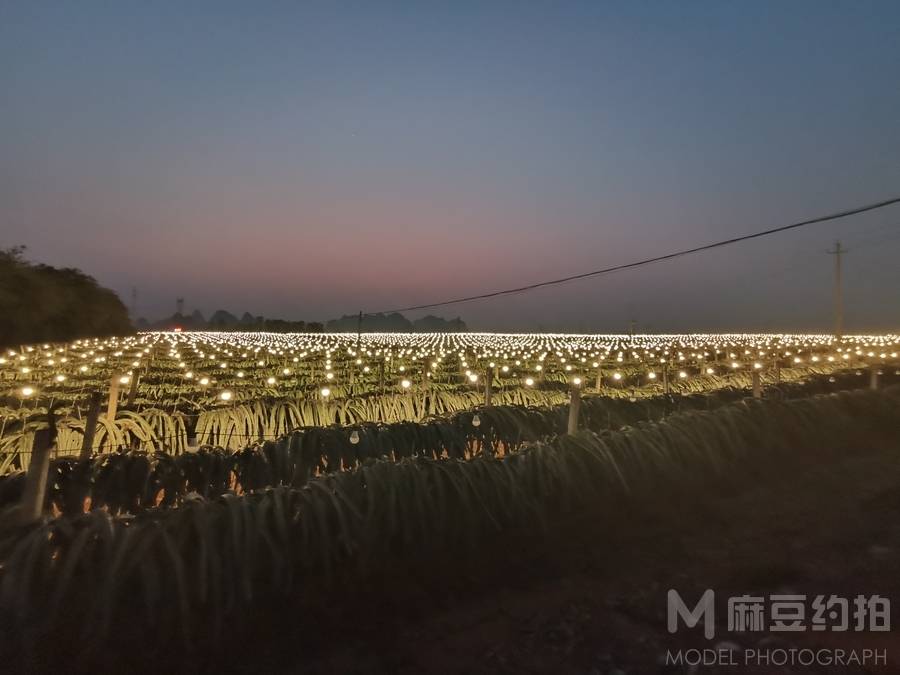 夜景模特