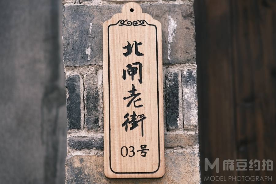 胶片模特