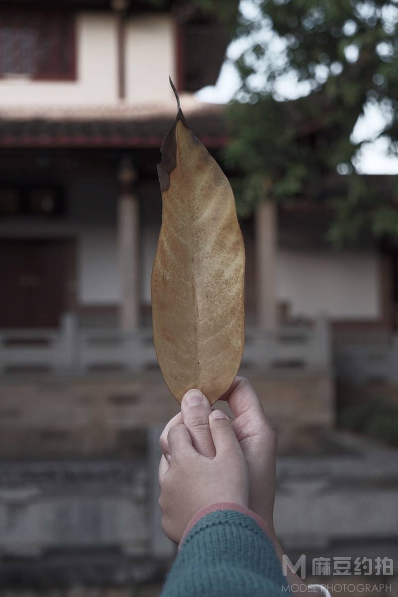 胶片模特