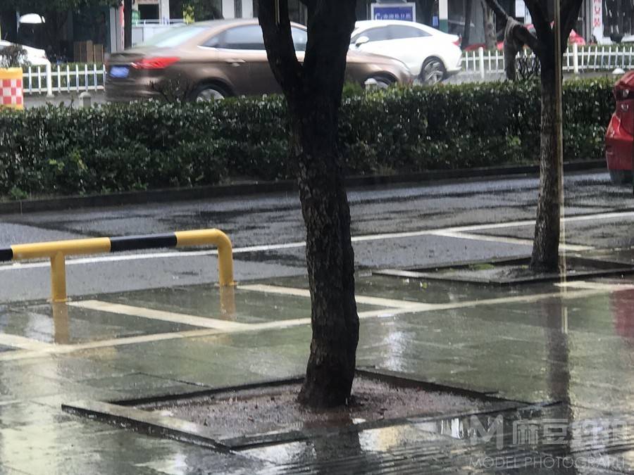 纪实模特