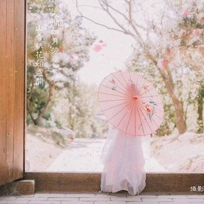 孕照模特