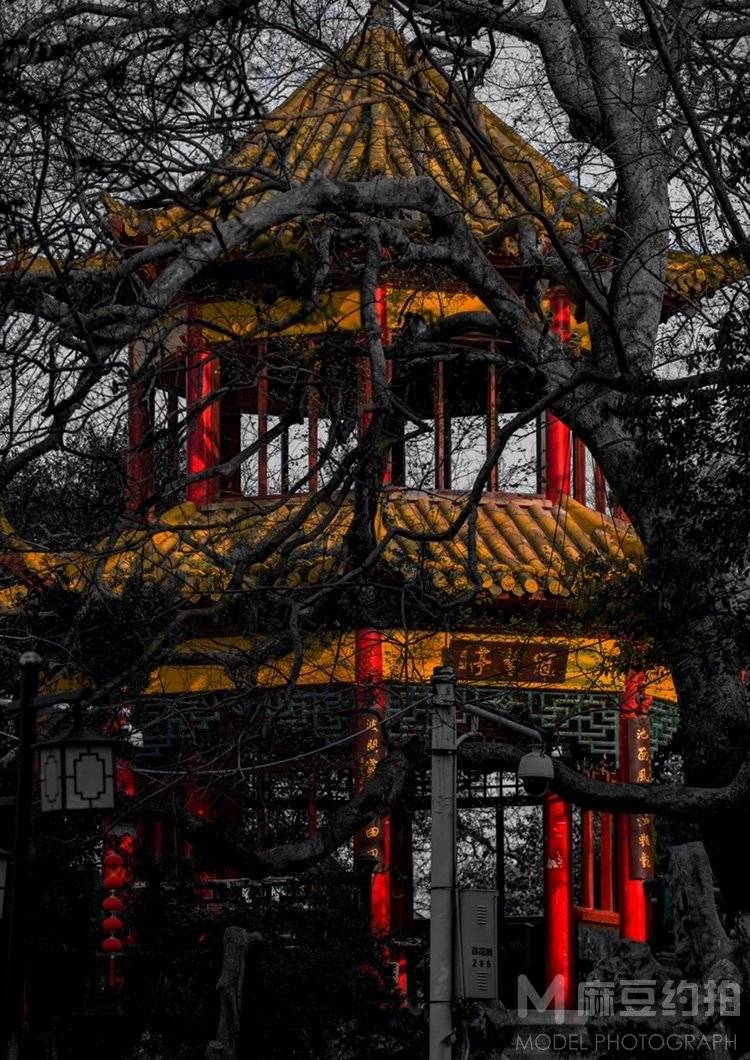 纪实模特