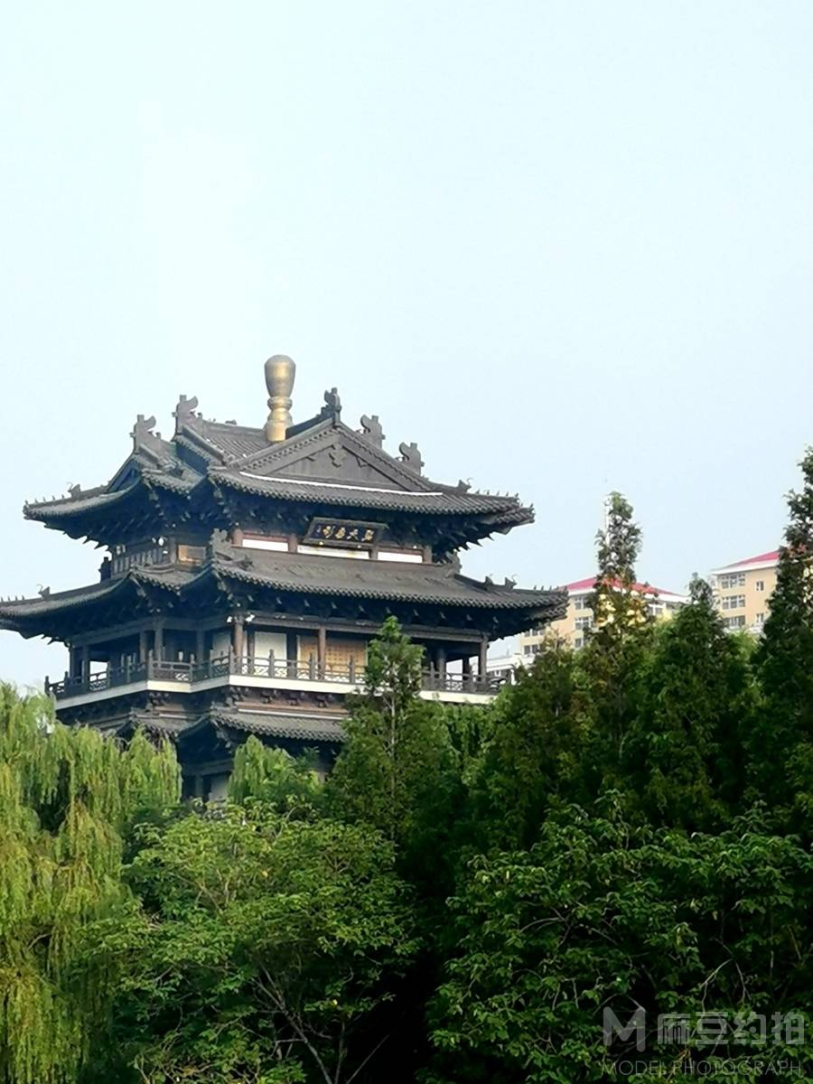 纪实模特
