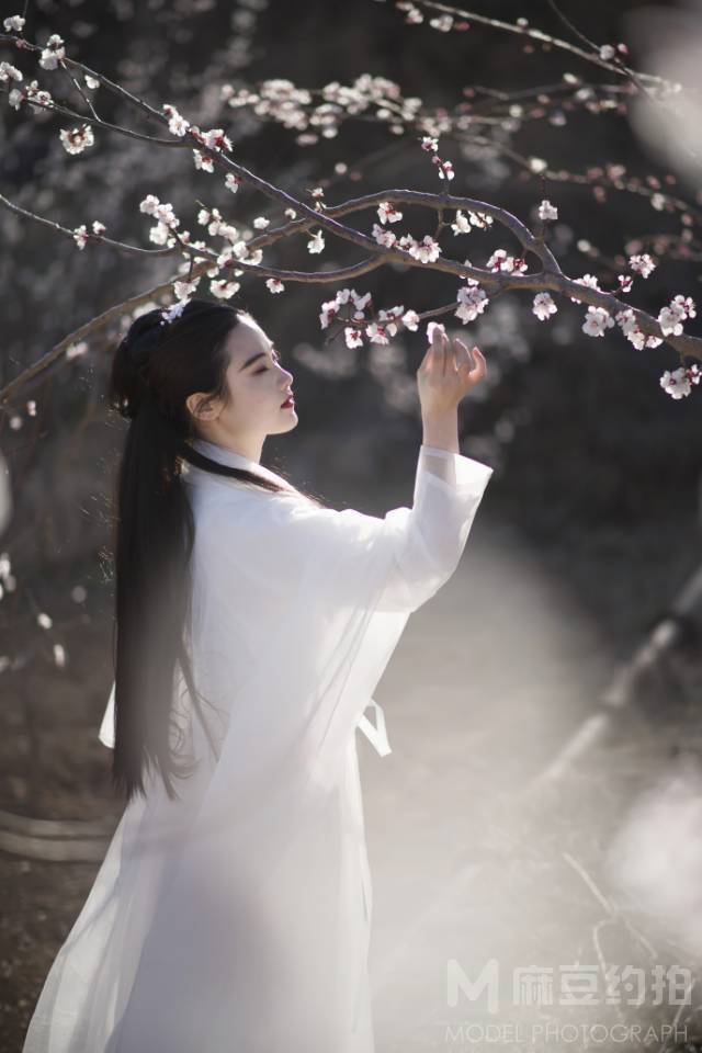 古风模特