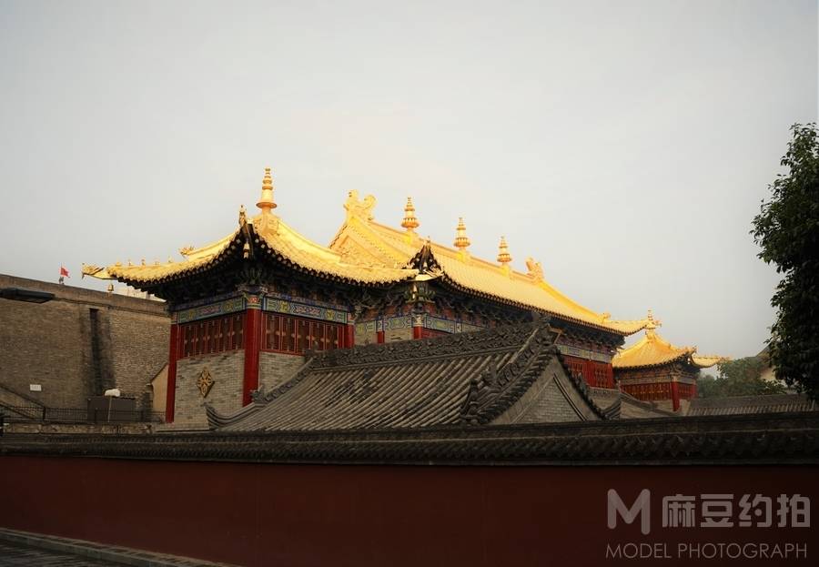 纪实模特