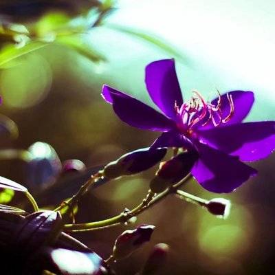 私房模特