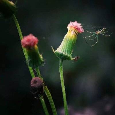 私房模特