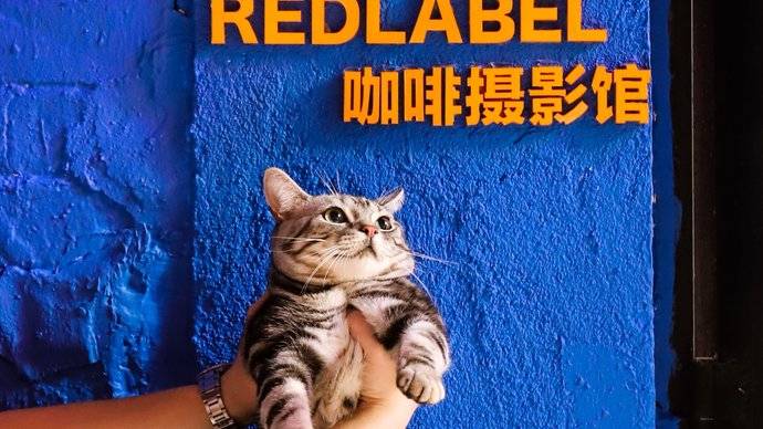 redlabel vision